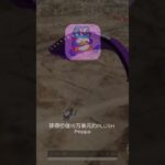 #NFT礼物 #波卡 #流动性挖矿