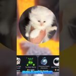 🎁Открывай бесплатные и авторские кейсы с NFT- подарками! 🎁Промокод: Promaty, b0t:GiftsBattle