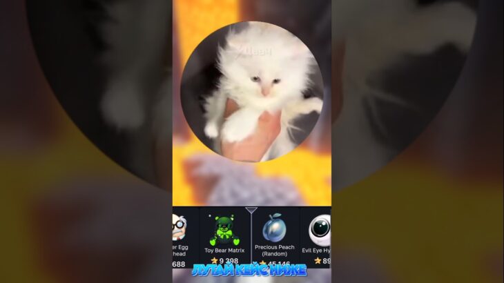 🎁Открывай бесплатные и авторские кейсы с NFT- подарками! 🎁Промокод: Promaty, b0t:GiftsBattle
