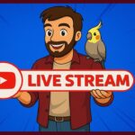 Sexta de Jogos NFT + Conversa Web3!