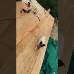 Tiny Alpha – #tinyhouse #solobuild #booking #nft