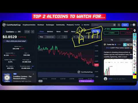 Treasure Nft Withdrawal Started 🎉 | Treasure New Update Today | Treasure Fun Update | TUFT Price