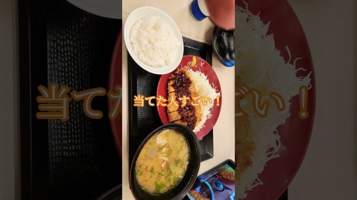 どこのトンカツ定食でしょう！マヨ命！##ダイエット #マヨネーズ#糖尿病##shortvideo #shorts #short グッド👍️いいね登録お願いします。