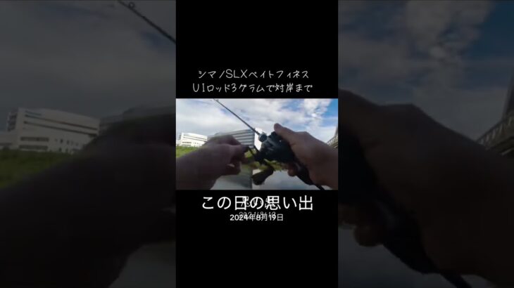 ベイトフィネス#ルアー #シマノ#slx