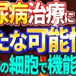 【糖尿病】奇跡の治療⁉︎医療の常識を覆す最新治療法とは