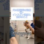 #犬#糖尿病