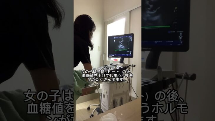 #犬#糖尿病