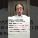 糖尿病犬インスリン受けず病院で死亡は過誤？