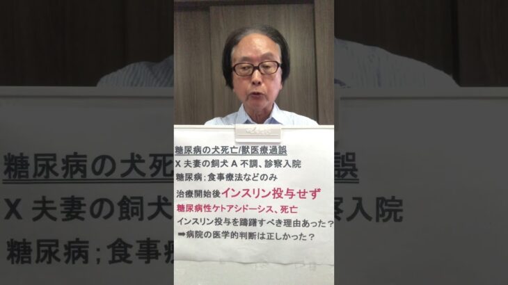 糖尿病犬インスリン受けず病院で死亡は過誤？
