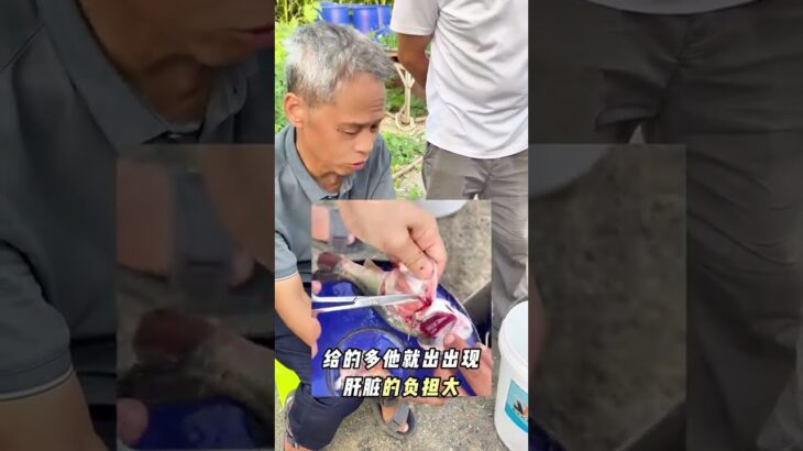 #鲈鱼#糖尿病#淀粉