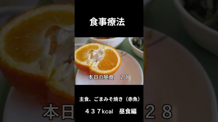 糖尿病の病院食、主食（ごまみそ焼き、赤魚）昼食編