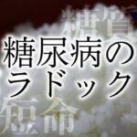 【ゆっくり解説】糖質制限の落とし穴！「糖尿病のパラドックス」について《食と健康の雑学》