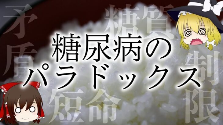 【ゆっくり解説】糖質制限の落とし穴！「糖尿病のパラドックス」について《食と健康の雑学》