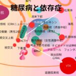 糖尿病と依存症　肥満型２型糖尿病や肥満の方は、依存症による食欲の暴走が日常的に起こっている状態です。しかし依存症ですから、ご本人は気が付いていません。無自覚に本能と潜在意識に操られています。
