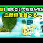 【衝撃】飲むだけで脂肪が血糖値を食べる!? 糖尿病薬に匹敵する南国の葉っぱの驚くべき正体
