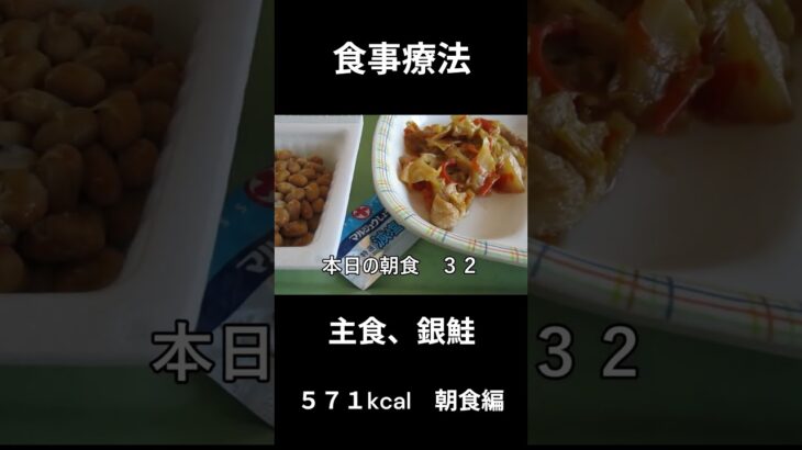 糖尿病の病院食、主食、銀鮭　朝食編