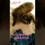 糖尿病になってしまいました😭