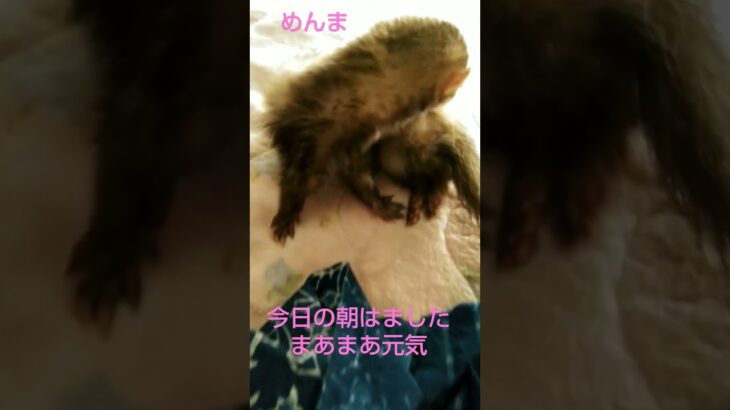 糖尿病になってしまいました😭