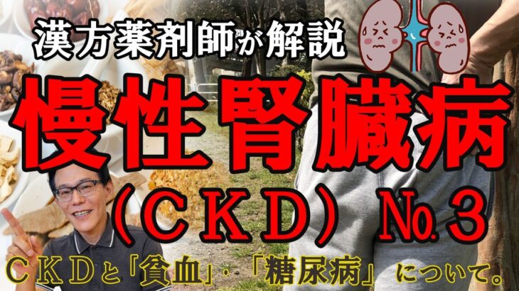 【慢性腎臓病ＣＫＤ№③】腎臓病と貧血・糖尿病【漢方薬剤師が解説】二型糖尿病　一型糖尿病　食事制限　ヘモグロビンＡ１ｃ　血糖値　ダイエット　血液検査　健康診断　むくみ　改善　原因　治し方