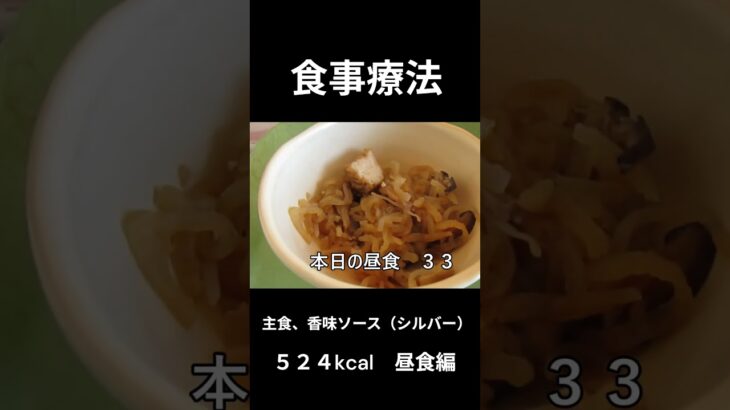 糖尿病の病院食、香味ソースかけ（シルバー）昼食編