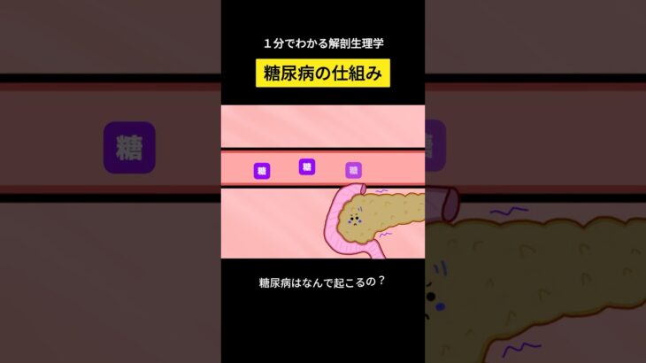 糖尿病の仕組み #糖尿病 #二型糖尿病 #血糖値