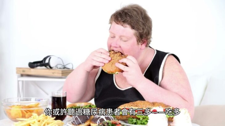 全面解析糖尿病｜症狀、原因、類型與飲食控制全攻略
