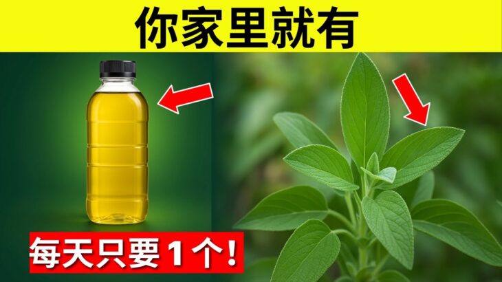 片叶子能逆转糖尿病、融化腹部脂肪并快速清理动脉！