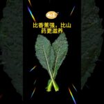 比香蕉强比山药更滋养#健康饮食 #糖尿病饮食 #肠道健康
