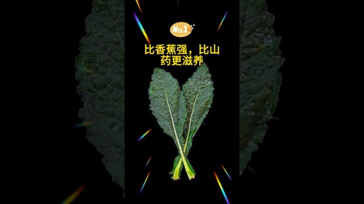 比香蕉强比山药更滋养#健康饮食 #糖尿病饮食 #肠道健康