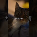 糖尿病