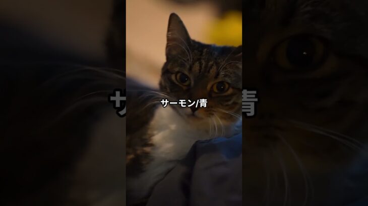 糖尿病