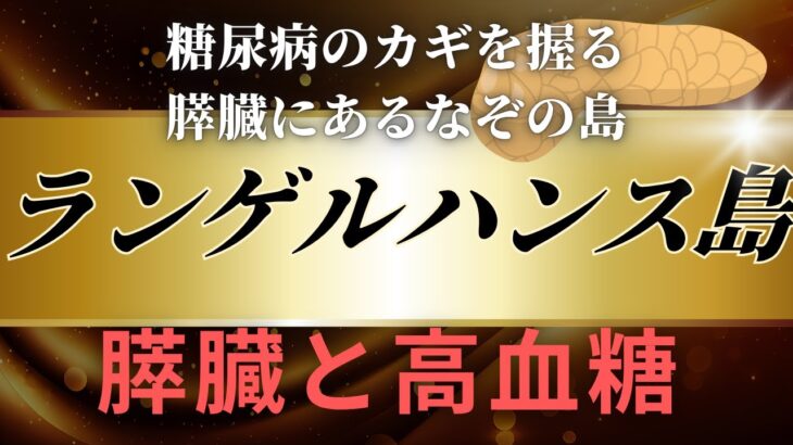 糖尿病と深く関わる「ランゲルハンス島」とは？膵臓の驚きのメカニズム！