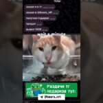 чего… #viral #funny #мем #нфт #telegram #юмор #nft