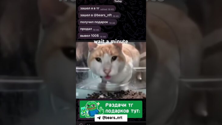 чего… #viral #funny #мем #нфт #telegram #юмор #nft