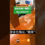 【糖尿病、はじめの一歩】炭水化物と糖質の違い。冷やし中華100gの糖質を「どこでもボーラス」でコントロール。アプリだけを使って手打ちも可能。