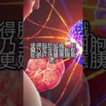运动修复2型糖尿病代谢系统！全身性胰岛素敏感度校准，低反应者别灰心！