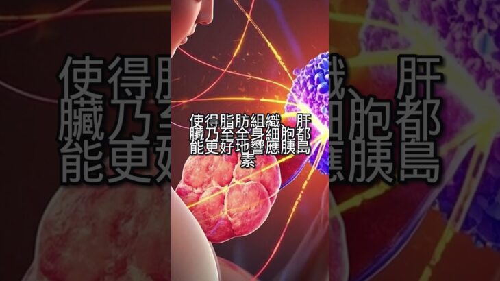 运动修复2型糖尿病代谢系统！全身性胰岛素敏感度校准，低反应者别灰心！