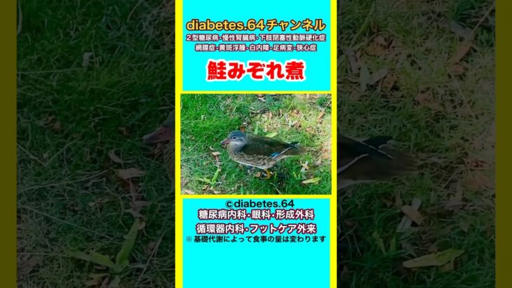 #2型糖尿病#狭心症#食事療法#自炊記録【鮭みぞれ煮】