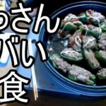 【よっさん】ヤバ過ぎる夜食を食べる【糖尿病】2025/09/12