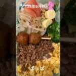 #25/9/17/4:30#糖尿病弁当#パパ#息子#そぼろ弁当#shorts