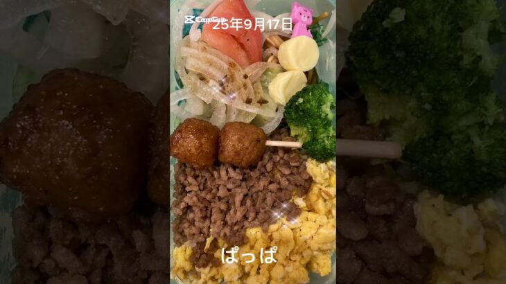 #25/9/17/4:30#糖尿病弁当#パパ#息子#そぼろ弁当#shorts