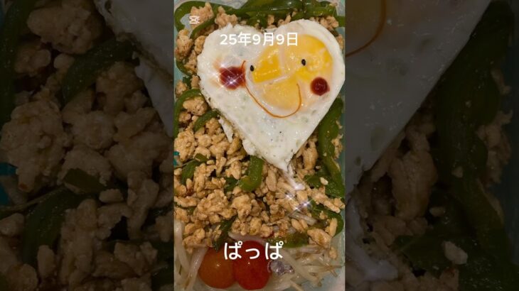 #25/9/9/3:30#糖尿病弁当#パパ#ガパオライス弁当#shorts