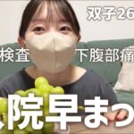 妊婦26週)糖尿病検査/これからの話/エコー写真妊娠線予防オイル