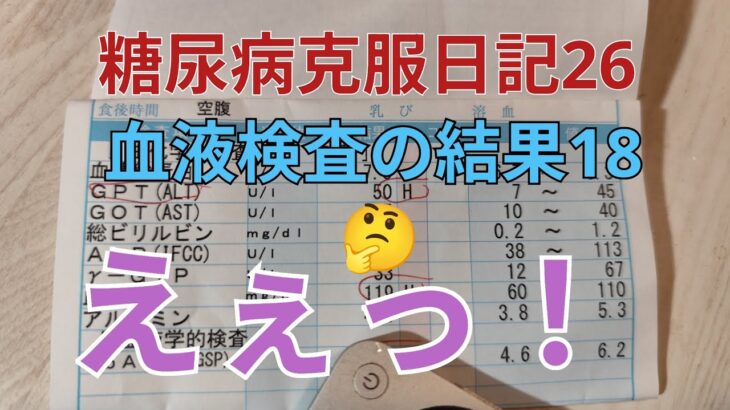 糖尿病克服日記26  血液検査の結果18