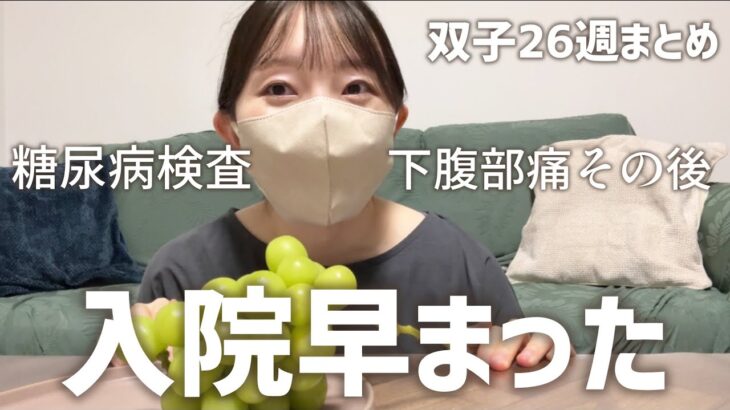 妊婦26週)糖尿病検査/これからの話/エコー写真妊娠線予防オイル
