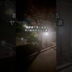 糖尿病で足に出るヤバめのサイン3選　#お酒 #睡眠 #二日酔い #アルコール #雑学 #知識 #豆知識 #知って得する雑学 #おすすめ #PR #サプリ