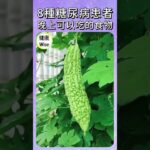 最新8種糖尿病患者晚上可以吃的食物，控糖關鍵不在早上！一夜血糖不失控，安心降糖食物，吃出穩定、睡得踏實，夜間控糖飲食指南 | 健康Wise