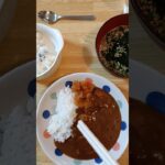 頑固な便秘と糖尿病が改善した食事　9/16の昼食