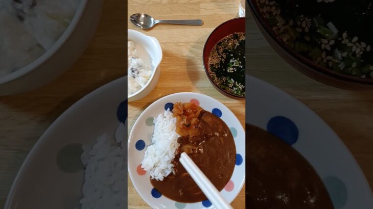 頑固な便秘と糖尿病が改善した食事　9/16の昼食