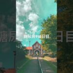 野菜を食べると言うことを思い出した糖尿病918日目食事記録 #野菜  #糖尿病の品格 #糖尿病 #心筋梗塞 #血糖値 #hba1c #ダイアベティス
